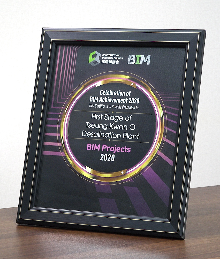 CIC BIM Achievement 2020